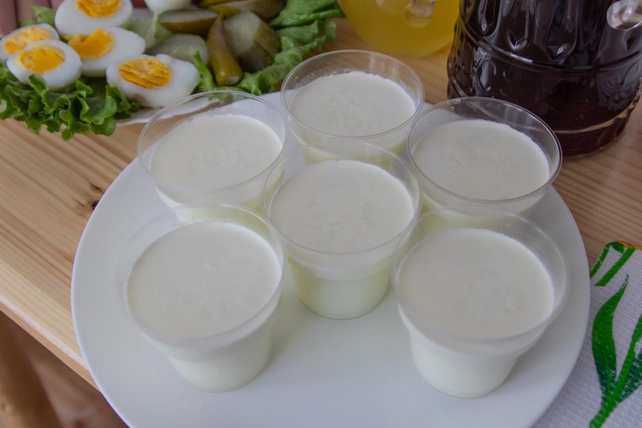 Katos Guesthouse Mestia Zewnętrze zdjęcie